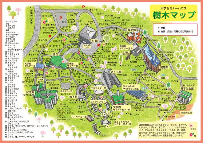 大学セミナーハウス　樹木マップ